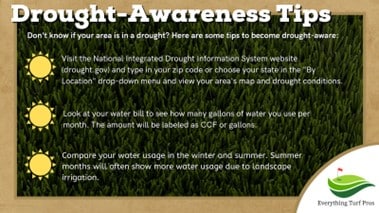 Drought Awareness Tips