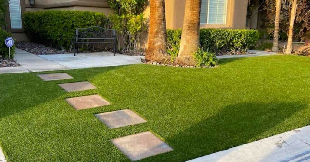 How to Make Your Lawn Drought Tolerant in Nevada