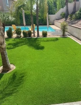 Pool and artificial turf