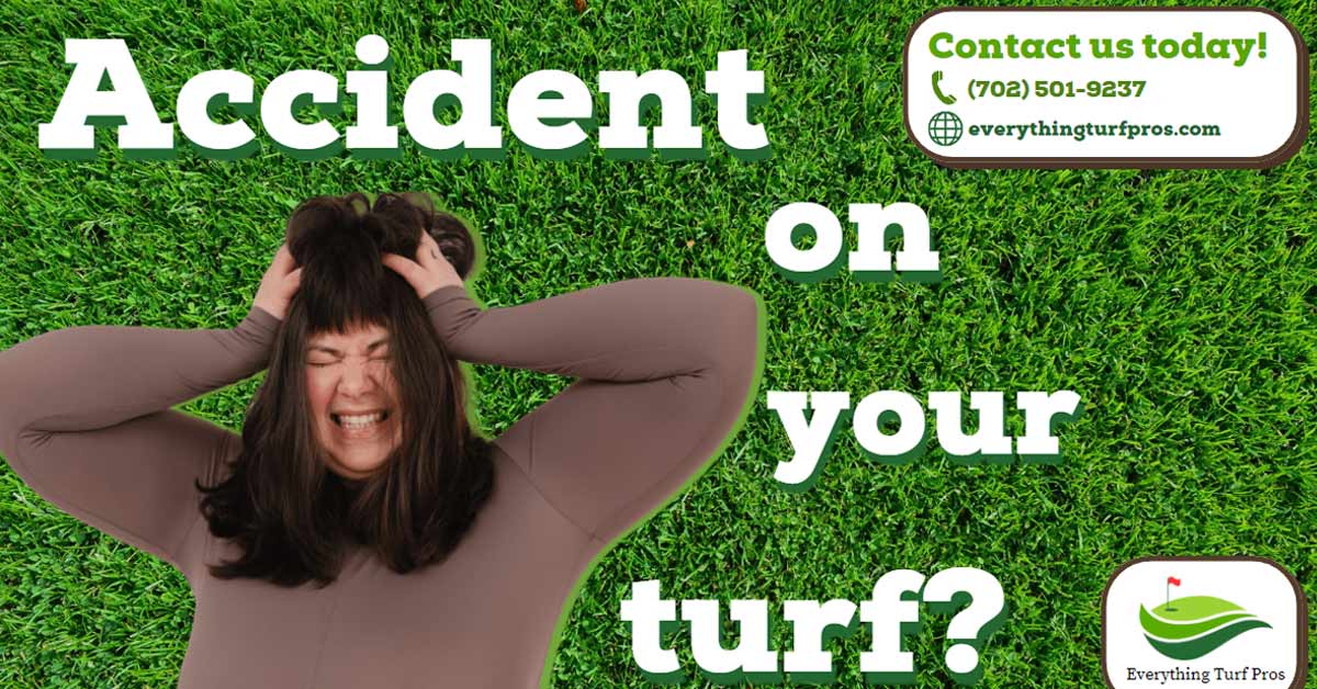 Accident On Your Turf? Here's How To Deal With The Damage